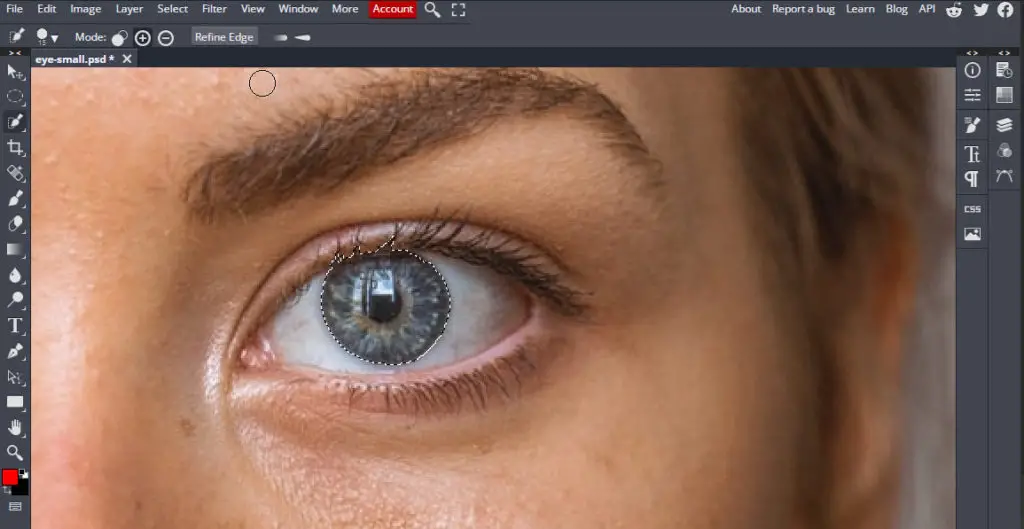 Eyes selected using Quick Selection tool