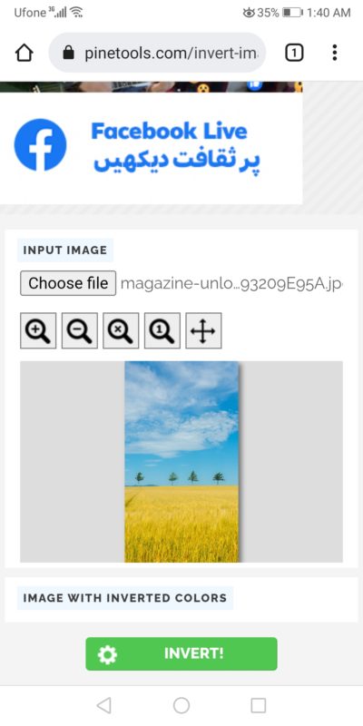 opening free online tool to convert photos into negative