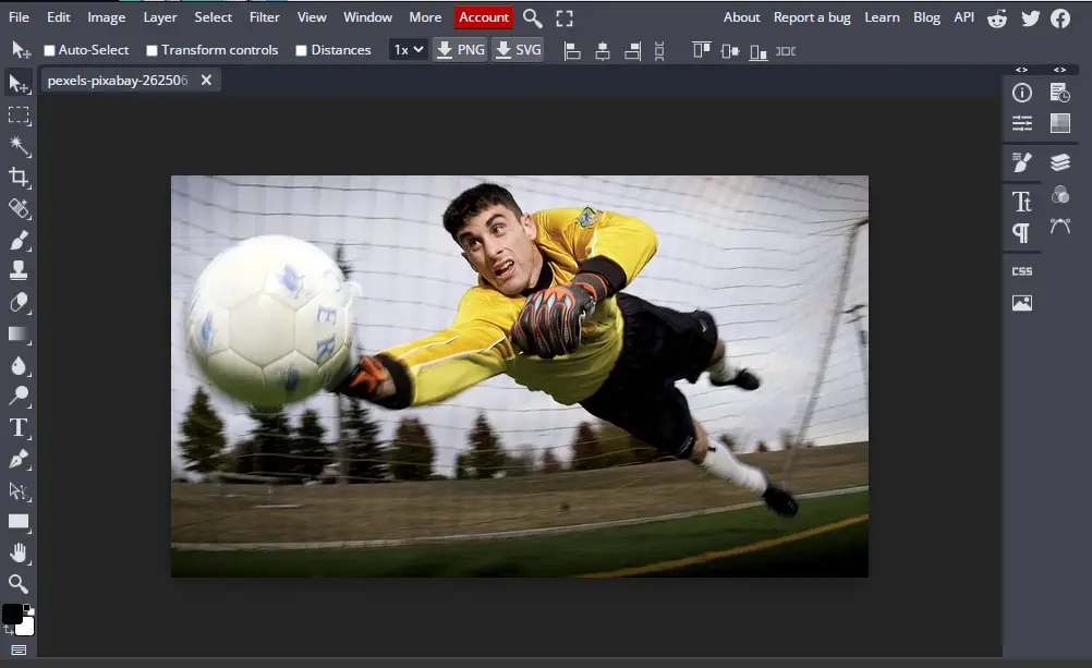 image of football goalkeeper open in bunnypic