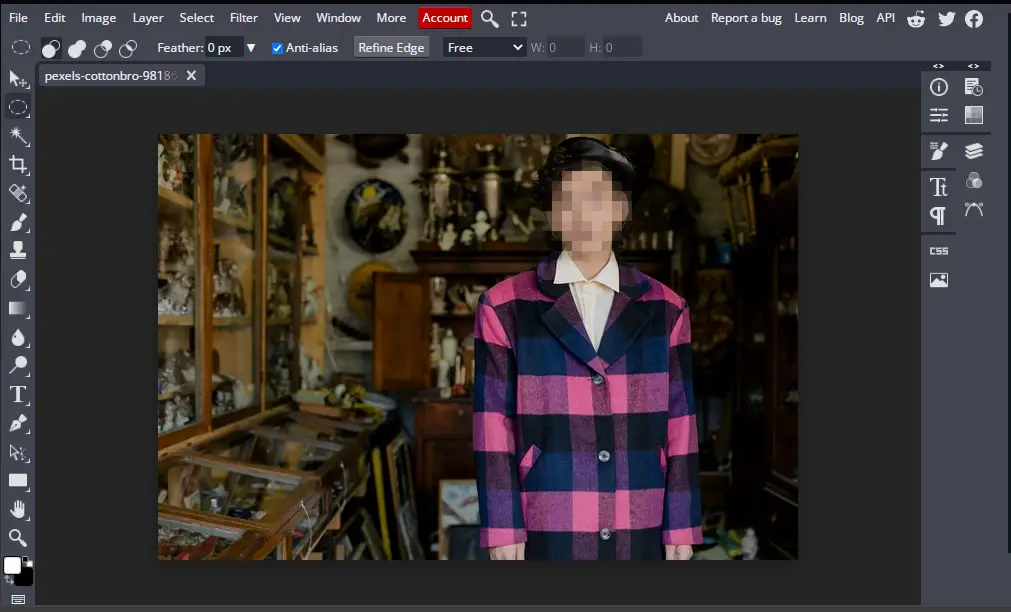 adding mosaic pixelated blur to face selection using bunnypic