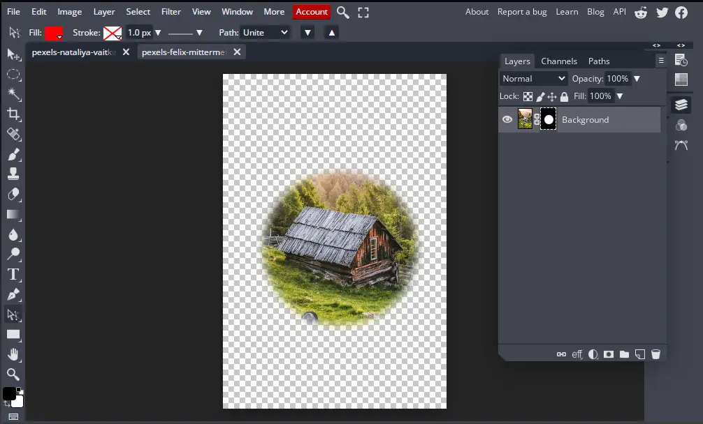 creating layer mask of subject with blurred edges in bunnypic