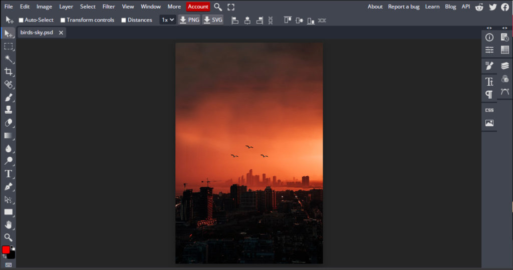 adding picture of red sunset behind city with birds