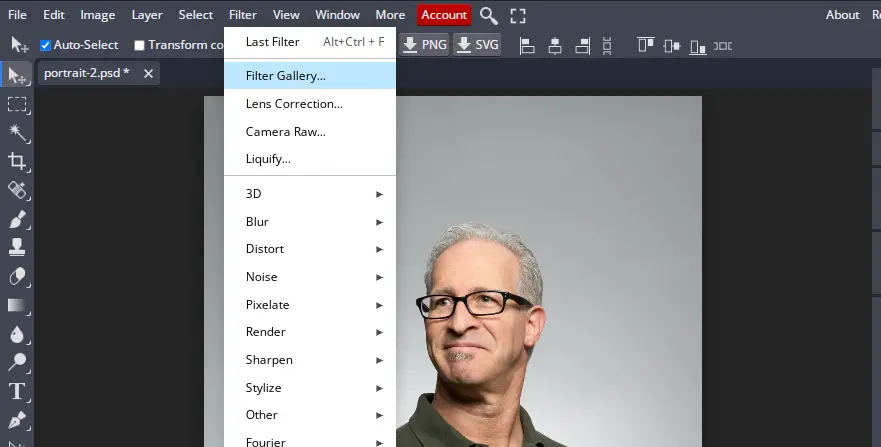 going to filter gallery in online photo editor