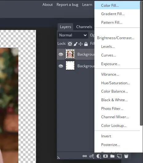 adding a new color layer in online photo editor