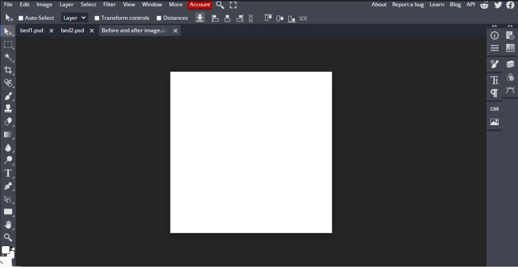 blank canvas opened in bunnypic online editor